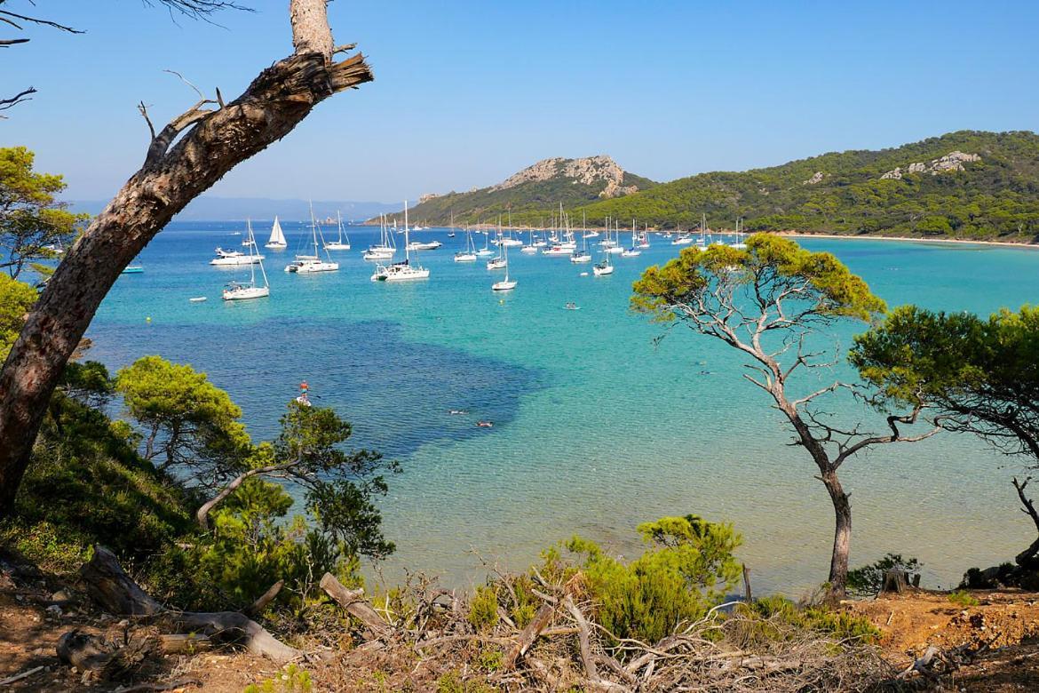 Superbe Logement Au Bord Des Plages Toulon Eksteriør billede