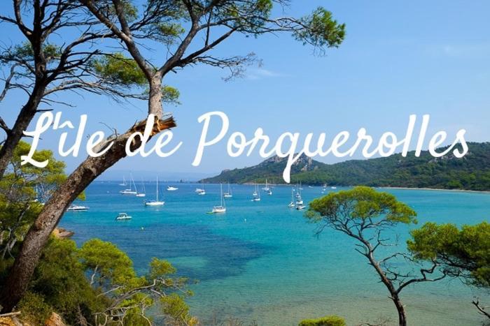 Superbe Logement Au Bord Des Plages Toulon Eksteriør billede