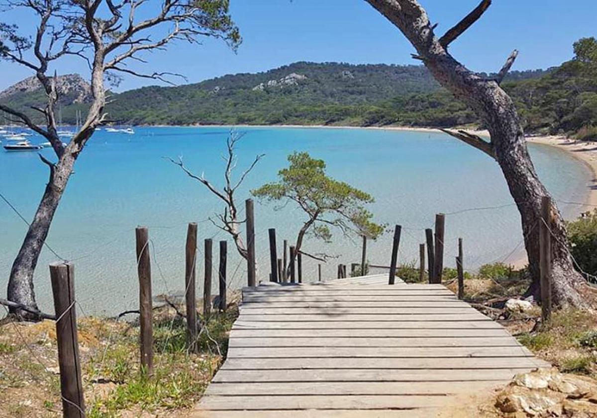 Superbe Logement Au Bord Des Plages Toulon Eksteriør billede